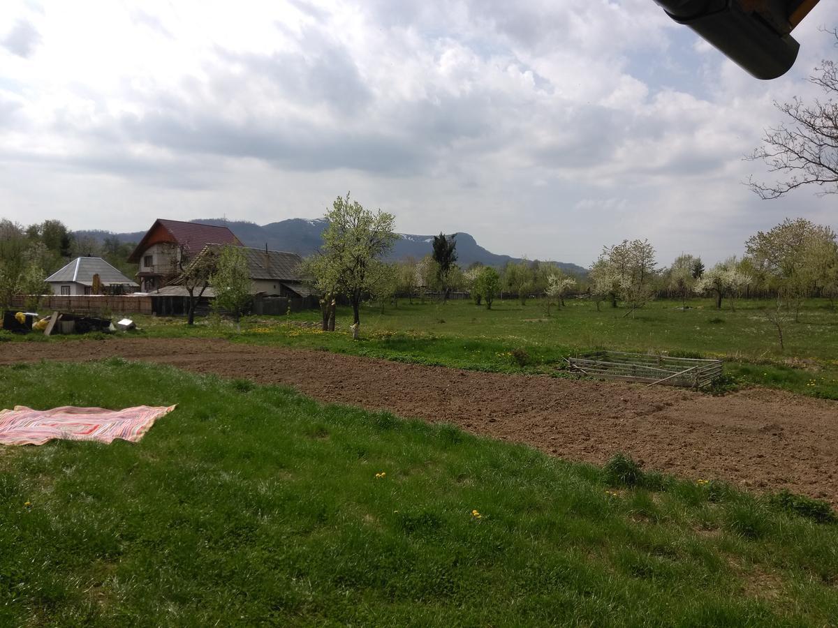 Pensiune Agroturistica "Casa Teodora" Budeşti Exterior foto